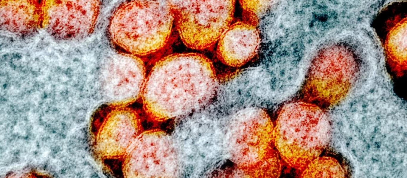 Γκίκας Μαγιορκίνης: Πρέπει να παρακολουθούμε τις μεταλλάξεις